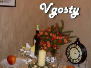 Center, cozy square on New Year's! - Apartments for daily rent from owners - Vgosty