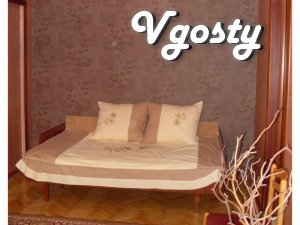 Center, cheap, comfortable, close Meduniver, bol.Pirogova, Vintage - Apartments for daily rent from owners - Vgosty