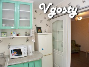 Unique apartment . Remove and check - Apartments for daily rent from owners - Vgosty