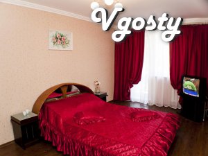 Unique apartment . Remove and check - Apartments for daily rent from owners - Vgosty