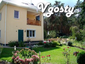 House- villa in a pine forest - Apartments for daily rent from owners - Vgosty