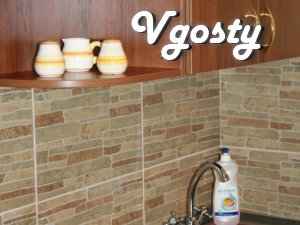 STATION CENTER - Apartments for daily rent from owners - Vgosty