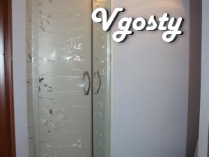 STATION, CENTER, Wi-Fi - Apartments for daily rent from owners - Vgosty