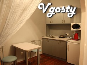 STATION, CENTER, Wi-Fi - Apartments for daily rent from owners - Vgosty