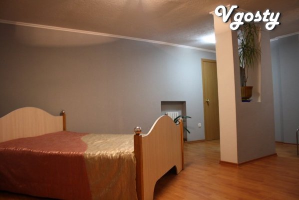 1 BR. Apartment in CENTER-STATION - Apartments for daily rent from owners - Vgosty