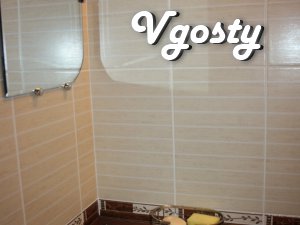 Apartments for rent . One bedroom with a new Euro- - Apartments for daily rent from owners - Vgosty