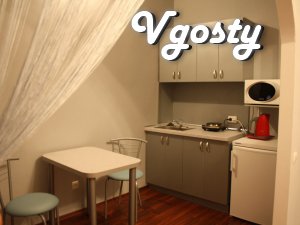 Daily, the euro apartment renovated 2011. in the center, reclines - Apartments for daily rent from owners - Vgosty