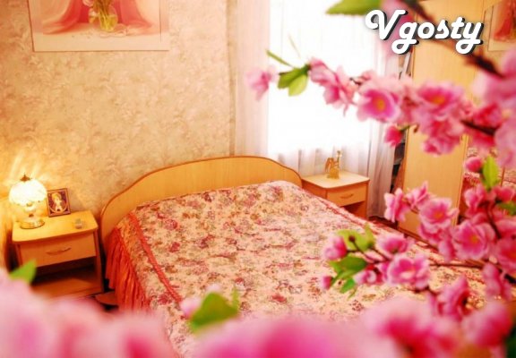 2-bedroom center WI-FI - Apartments for daily rent from owners - Vgosty