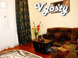 Nice apartment in the heart of the city (from Passage 3 minutes - Apartments for daily rent from owners - Vgosty
