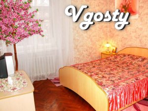 Nice apartment in the heart of the city (from Passage 3 minutes - Apartments for daily rent from owners - Vgosty