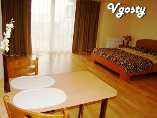 Center LUX! Park ! Wi-Fi! - Apartments for daily rent from owners - Vgosty