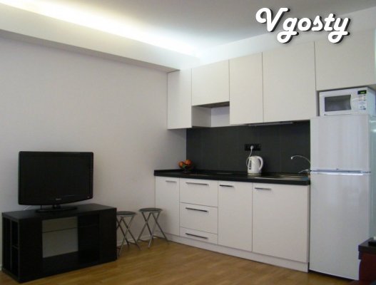 Premium level apartment in the center , Wi-Fi! - Apartments for daily rent from owners - Vgosty