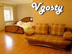 Shevchenko Park, Quay, center, wi-fi - Apartments for daily rent from owners - Vgosty