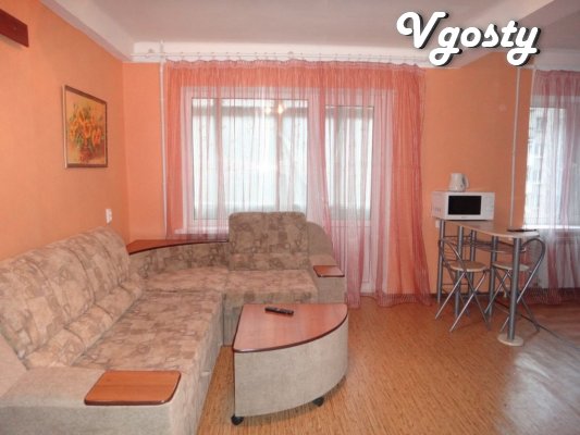 Cozy studio with WI-FI, a number of Meteor . - Apartments for daily rent from owners - Vgosty
