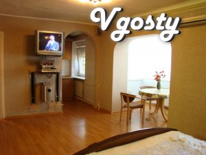 Prostornayakvartira studio in downtown area near the - Apartments for daily rent from owners - Vgosty