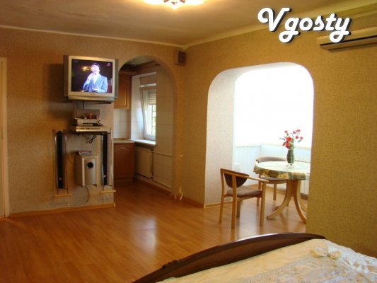 Prostornayakvartira studio in downtown area near the - Apartments for daily rent from owners - Vgosty