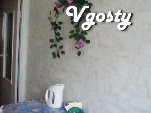Cozy apartment in the early pr.Pravdy - Apartments for daily rent from owners - Vgosty