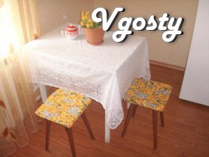 1 st comfortable and clean in Dnepropetrovsk - Apartments for daily rent from owners - Vgosty