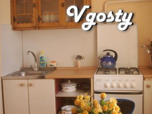 1 st comfortable and clean in Dnepropetrovsk - Apartments for daily rent from owners - Vgosty